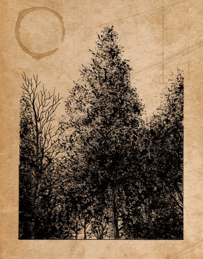 Jardin des Plantes_Nevan_SketchBook_Neon_Obscur_008