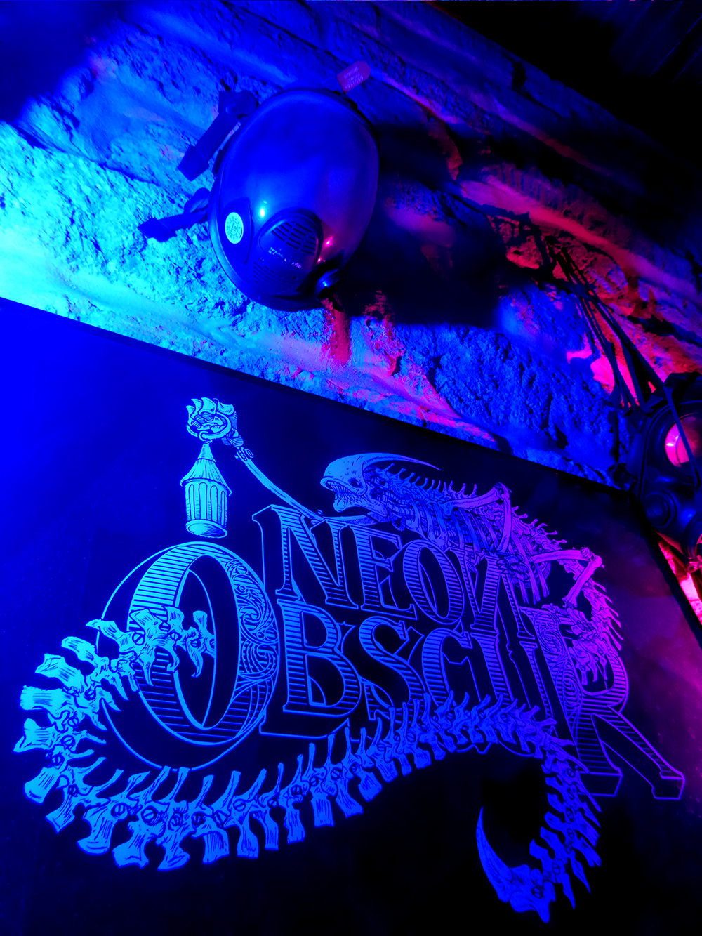 07_Salamander_neon_obscur_max_nevan