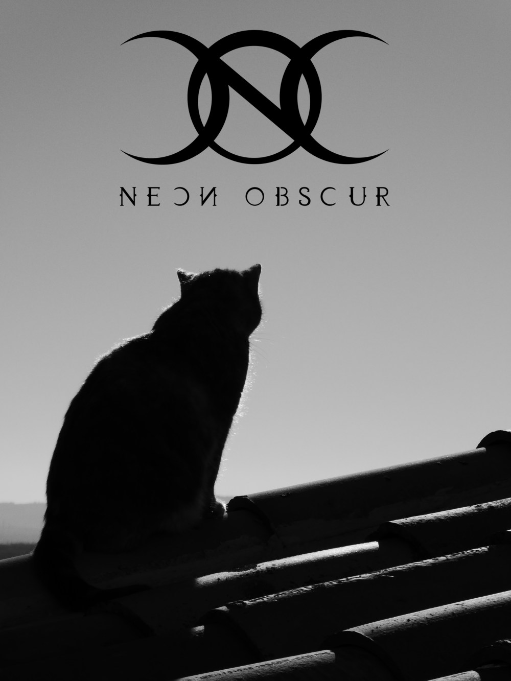 05_hellkat_neon_obscur