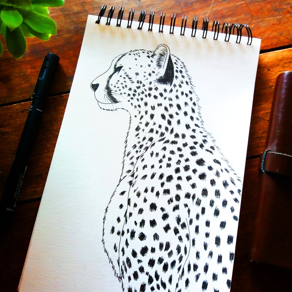 011_max_nevan_neon_obscur_sketch