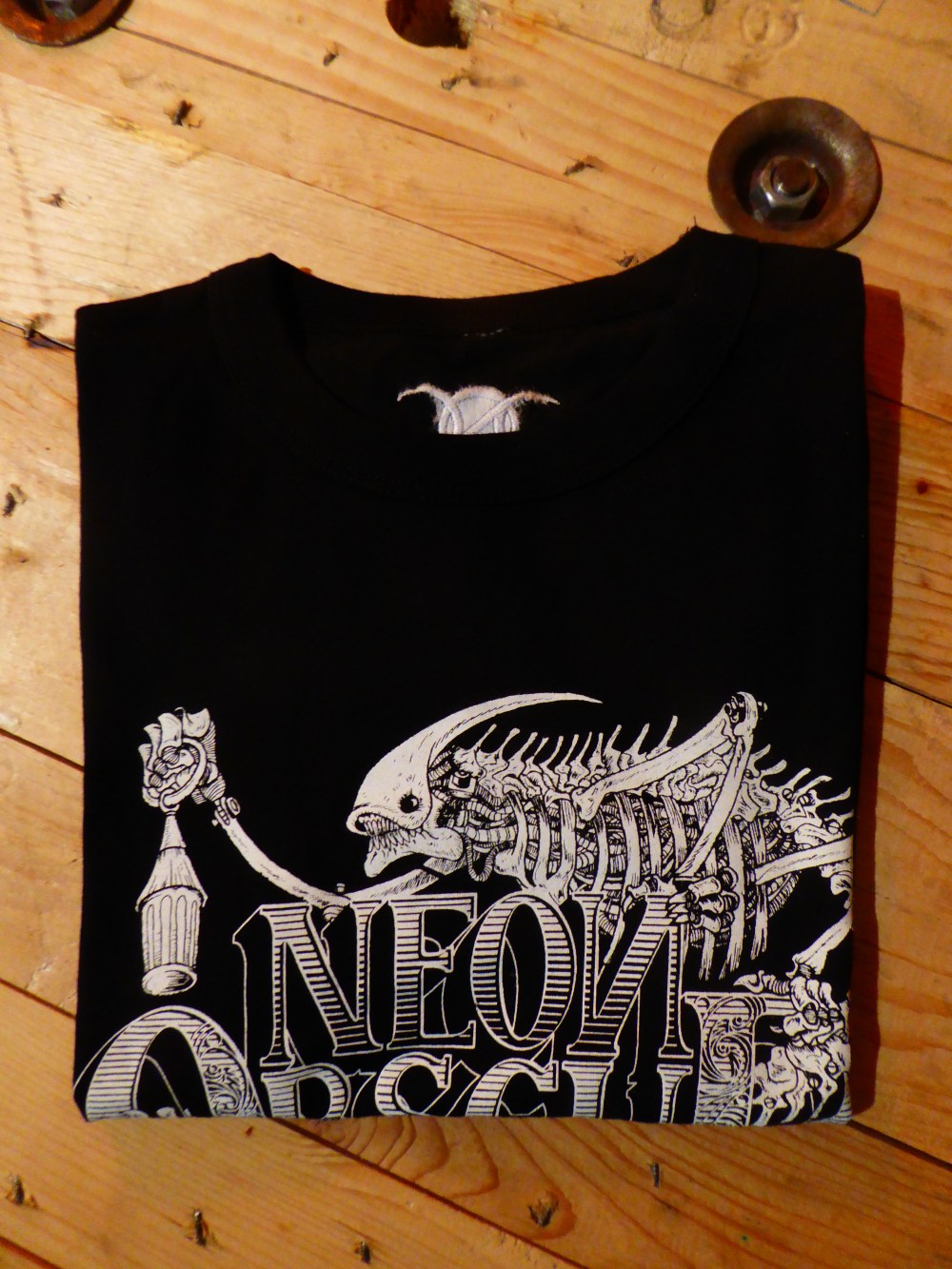 05_Salamander_neon_obscur_max_nevan