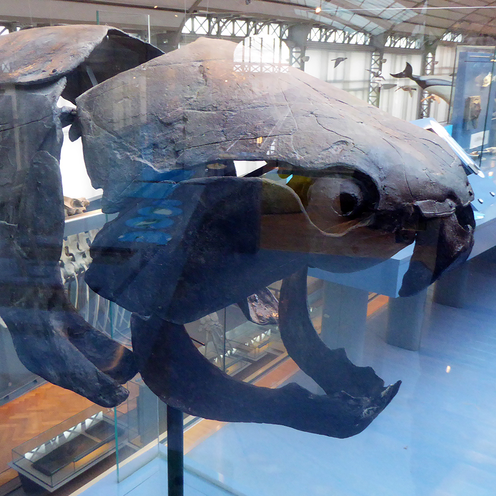 01_dunkleo_neon_obscur_max_nevan_03