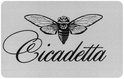 02_cicadetta_montana