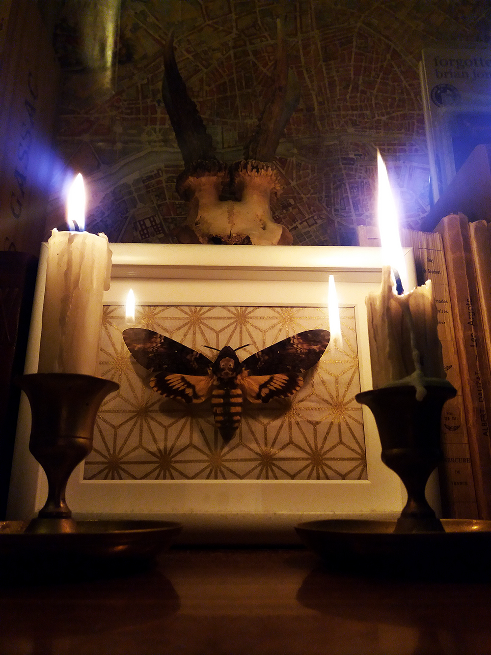 04_neon_obscur_acherontia_atropos_01