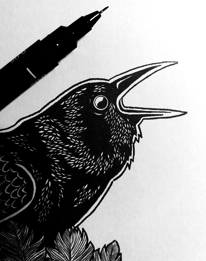 05_corbeau_neon_obscur_max_nevan_01