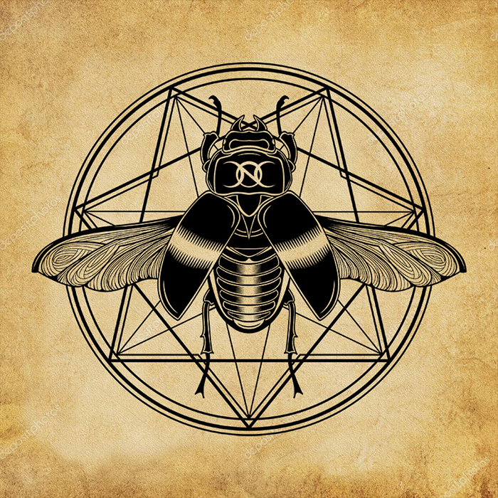 07_neon_obscur_max_nevan_entomology_02_2