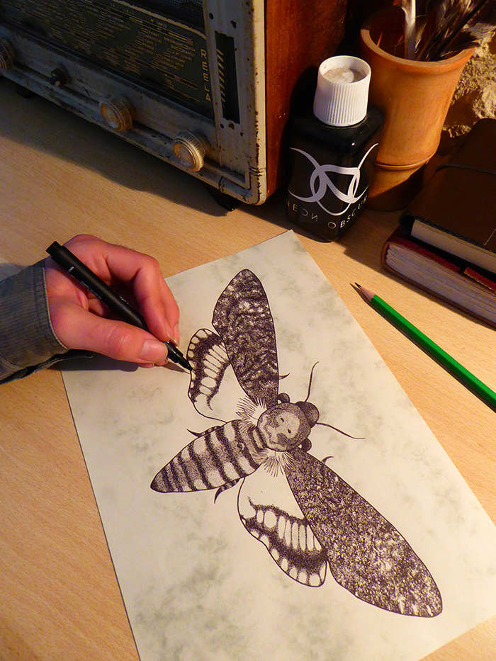 09_neon_obscur_max_nevan_entomology