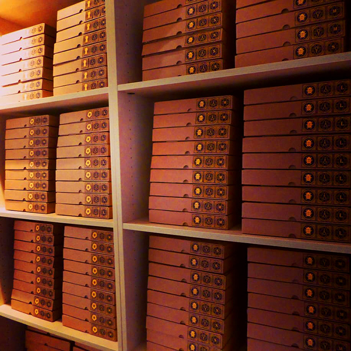 neon_obscur_scarab_05