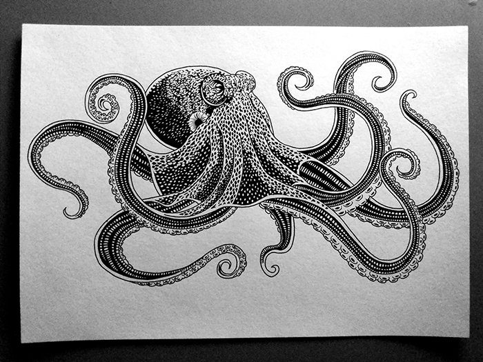 octopus_max_nevan_neon_obscur_02_l7